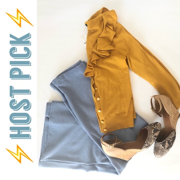 Eileen Fisher Dresses & Skirts - Eileen Fisher Washable Wool Midi Skirt Petite